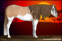 Horse Color:Gray Perlino Splash 