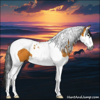 Horse Color:Gray Buckskin Splash Tobiano 