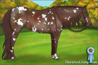 Horse Color:White Spotted Chocolate Brown