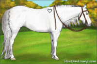 Horse Color:Gray White Spotted Brown Pearl