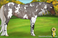 Horse Color:Gray White Spotted Silver Brown Roan 