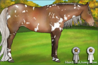 Horse Color:Gray White Spotted Silver Brown Pearl 