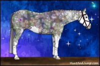 Horse Color:Nacre Black Ice Sabino Splash 