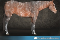 Horse Color:Bay Ice Splash and Bay Ice