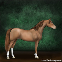 Horse Color:Gray Red Roan Pearl 
