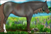 Horse Color:Liver Red Roan 