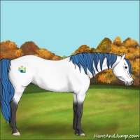 Horse Color:Platinum Painted Buckskin 