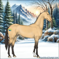 Horse Color:Buckskin Dun 