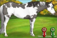Horse Color:White Spotted Grullo Roan Splash Frame Varnish 
