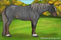 Horse Color:Liver Red Roan Mushroom