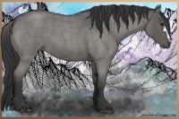Horse Color:Blue Roan 