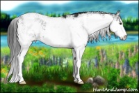 Horse Color:Liver Chestnut Sabino 