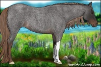 Horse Color:Liver Red Roan 