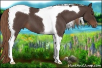 Horse Color:Liver Red Roan Tobiano 