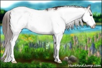 Horse Color:Liver Chestnut Sabino
