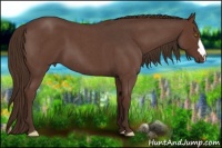 Horse Color:Liver Red Roan 