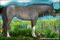 Horse Color:Liver Red Roan 