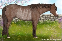 Horse Color:Liver Chestnut Rabicano 