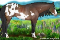 Horse Color:Brown Frame Blanket Rabicano 