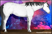 Horse Color:White Spotted Grullo