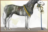 Horse Color:White Spotted Silver Black Chinchilla Splash 