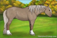 Horse Color:Silver Grullo 