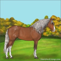 Horse Color:White Spotted Silver Bay Splash