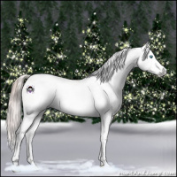 Horse Color:Gray White Spotted Sable Champagne Pearl Dun Splash Near Leopard 