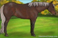 Horse Color:Silver Brown 