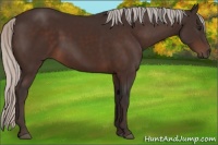 Horse Color:Silver Brown 