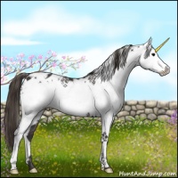 Horse Color:White Spotted Smoky Black Appaloosa 