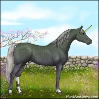 Horse Color:Silver Black 