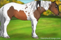 Horse Color:Bay Tobiano
