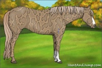 Horse Color:Palomino Ice 