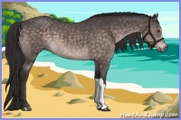 Horse Color:Platinum Buckskin