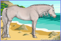 Horse Color:Gray Platinum Cremello