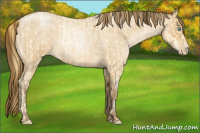 Horse Color:Buckskin Roan Pearl  and Gray Buckskin Roan Pearl