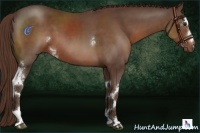 Horse Color:White Spotted Liver Chestnut Sabino 
