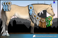 Horse Color:Buckskin Dun