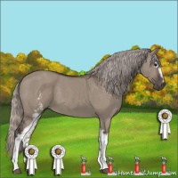 Horse Color:White Spotted Silver Grullo 