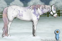 Horse Color:Watercolor Plaid  White Spotted Liver Chestnut Sabino Splash Appaloosa 