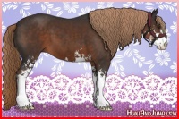 Horse Color:Liver Chestnut Sabino 