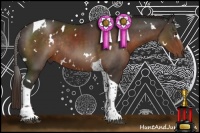 Horse Color:White Spotted Liver Chestnut Tobiano Rabicano