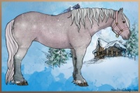 Horse Color:Watercolor Silver Bay 