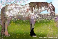 Horse Color:Nacre Liver Chestnut Ice 