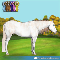 Horse Color:Amber Champagne Snowdrop Pearl Sabino Near Fewspot  and Sable Champagne Snowdrop Pearl Sabino 