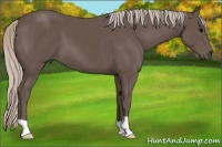 Horse Color:Silver Black 