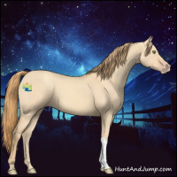 Horse Color:Gold Champagne Dun 