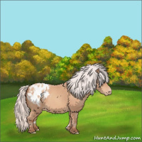 Horse Color:Silver Sable Champagne Appaloosa 