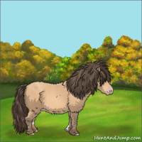 Horse Color:Amber Champagne 
